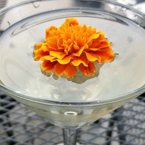 Meet your Posher, Theresa